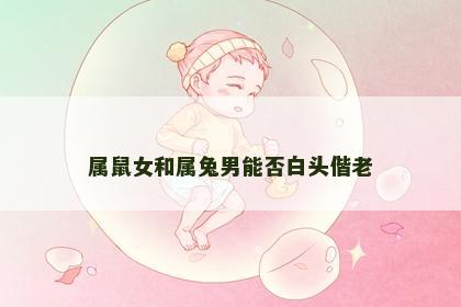 属鼠女和属兔男能否白头偕老