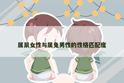 属鼠女性与属兔男性的性格匹配度