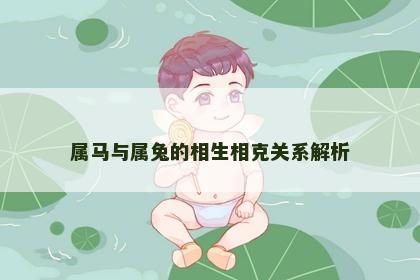 属马与属兔的相生相克关系解析