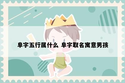 阜字五行属什么 阜字取名寓意男孩