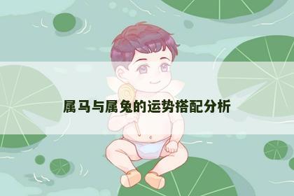 属马与属兔的运势搭配分析