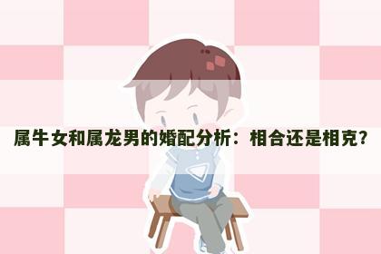 属牛女和属龙男的婚配分析：相合还是相克？