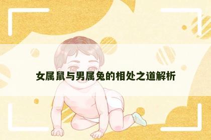 女属鼠与男属兔的相处之道解析