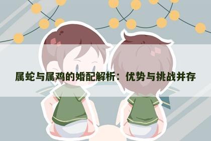 属蛇与属鸡的婚配解析：优势与挑战并存