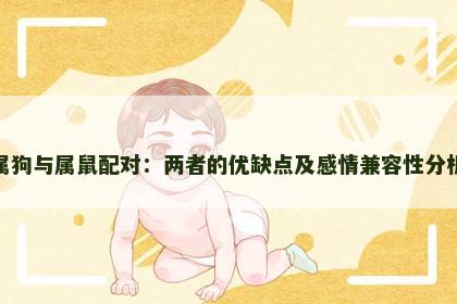 属狗与属鼠配对：两者的优缺点及感情兼容性分析