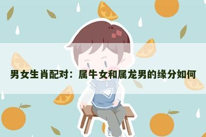 男女生肖配对：属牛女和属龙男的缘分如何
