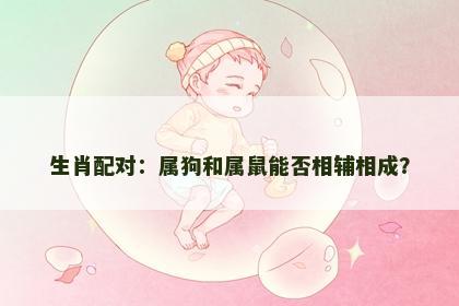 生肖配对：属狗和属鼠能否相辅相成？