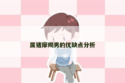 属猪摩羯男的优缺点分析