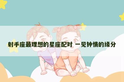 射手座最理想的星座配对 一见钟情的缘分