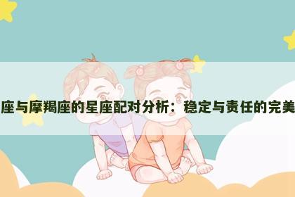 金牛座与摩羯座的星座配对分析：稳定与责任的完美结合