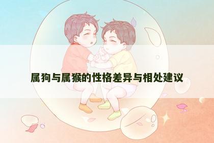属狗与属猴的性格差异与相处建议