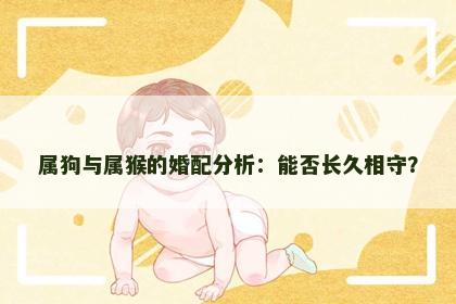 属狗与属猴的婚配分析：能否长久相守？