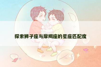 探索狮子座与摩羯座的星座匹配度