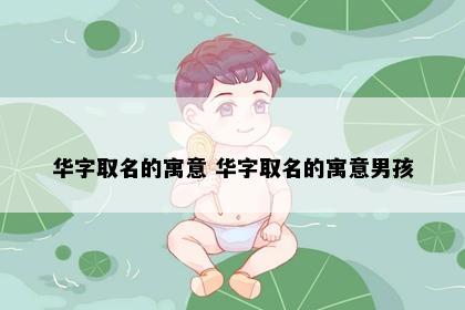 华字取名的寓意 华字取名的寓意男孩