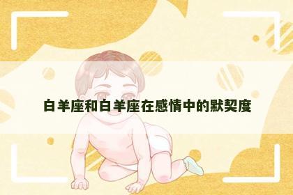 白羊座和白羊座在感情中的默契度