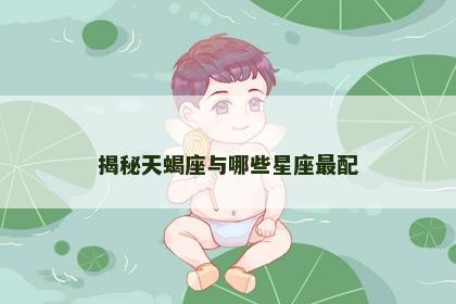 揭秘天蝎座与哪些星座最配