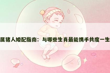 属猪人婚配指南：与哪些生肖最能携手共度一生