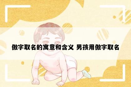 傲字取名的寓意和含义 男孩用傲字取名