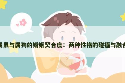 属鼠与属狗的婚姻契合度：两种性格的碰撞与融合