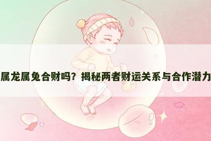 属龙属兔合财吗？揭秘两者财运关系与合作潜力