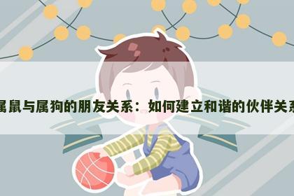 属鼠与属狗的朋友关系：如何建立和谐的伙伴关系