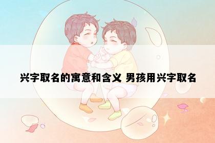 兴字取名的寓意和含义 男孩用兴字取名