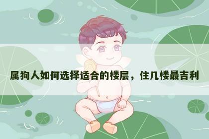 属狗人如何选择适合的楼层，住几楼最吉利