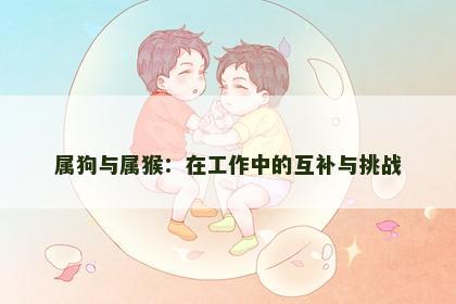 属狗与属猴：在工作中的互补与挑战