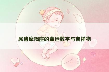属猪摩羯座的幸运数字与吉祥物