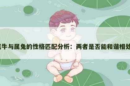 属牛与属兔的性格匹配分析：两者是否能和谐相处？
