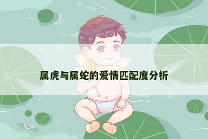 属虎与属蛇的爱情匹配度分析