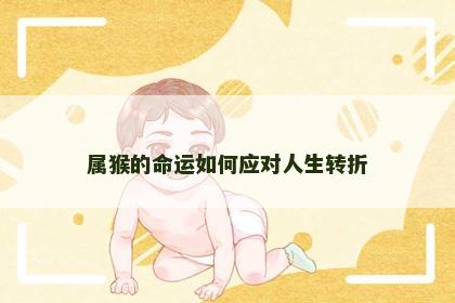 属猴的命运如何应对人生转折