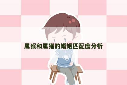 属猴和属猪的婚姻匹配度分析
