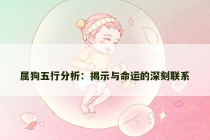 属狗五行分析：揭示与命运的深刻联系