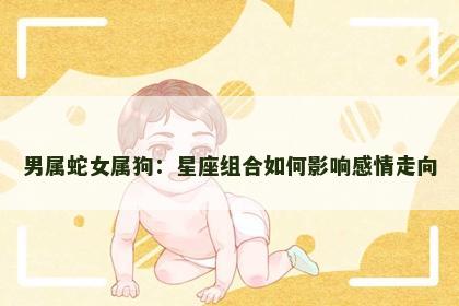 男属蛇女属狗：星座组合如何影响感情走向