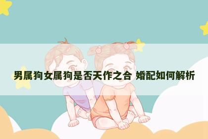 男属狗女属狗是否天作之合 婚配如何解析