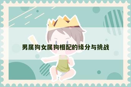 男属狗女属狗相配的缘分与挑战
