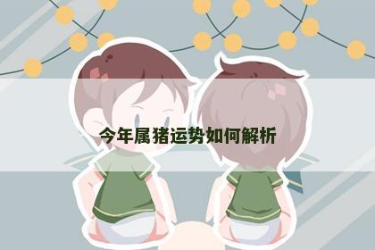 今年属猪运势如何解析