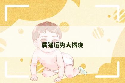 属猪运势大揭晓