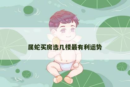 属蛇买房选几楼最有利运势