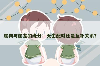属狗与属龙的缘分：天生配对还是互补关系？