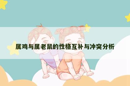属鸡与属老鼠的性格互补与冲突分析