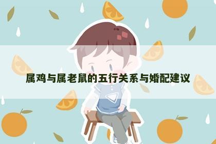 属鸡与属老鼠的五行关系与婚配建议