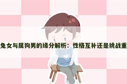 属兔女与属狗男的缘分解析：性格互补还是挑战重重