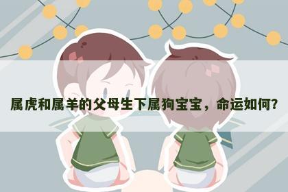 属虎和属羊的父母生下属狗宝宝，命运如何？