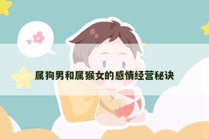 属狗男和属猴女的感情经营秘诀