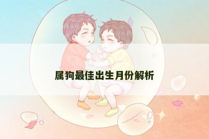 属狗最佳出生月份解析