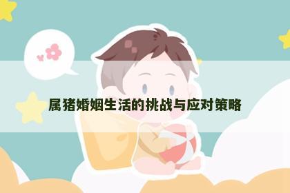 属猪婚姻生活的挑战与应对策略