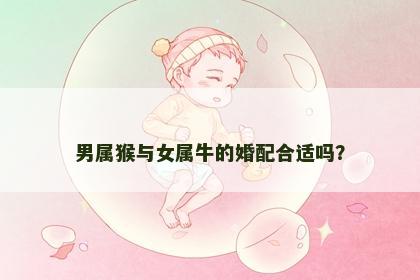 男属猴与女属牛的婚配合适吗？