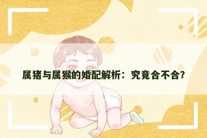 属猪与属猴的婚配解析：究竟合不合？